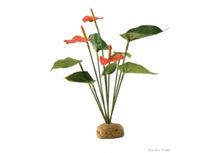 Декоративно растение за терариум - Exo Terra Anthurium Bush