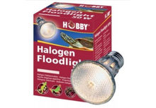 Крушка за терариум - Hobby Diamond Halogen Floodlight 35 W 37385