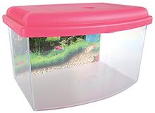 Aqua Travel Box small 22cm -аквариум