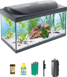 Tetra Aquarium Starter line -аквариум 54Л