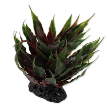 REPTI PLANET PLANT AGAVE GREEN 18cm
