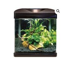 Amtra аквариум -Laguna 40 LED -цвят черен